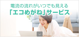 電流の流れがいつでも見える「エコめがね」サービス